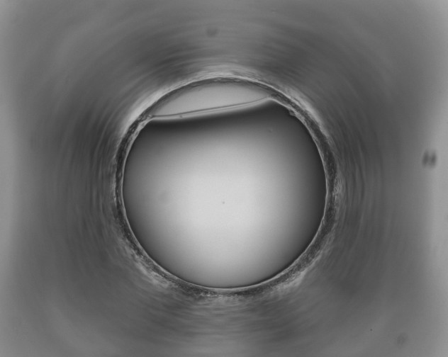 X0000089760877200706210952