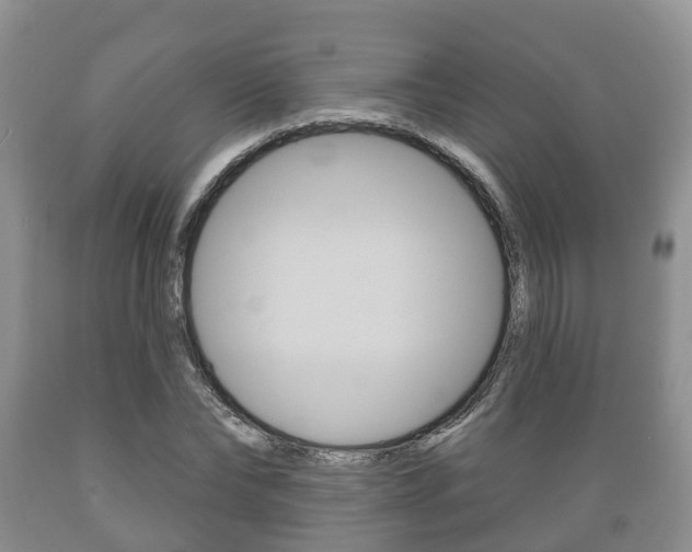 X0000089760878200706210952