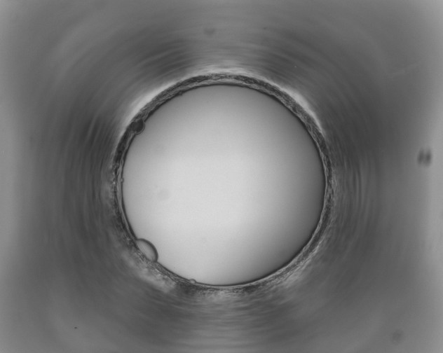 X0000089760879200706210952