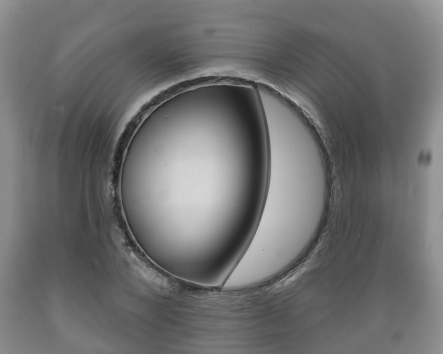 X0000089760880200706210952