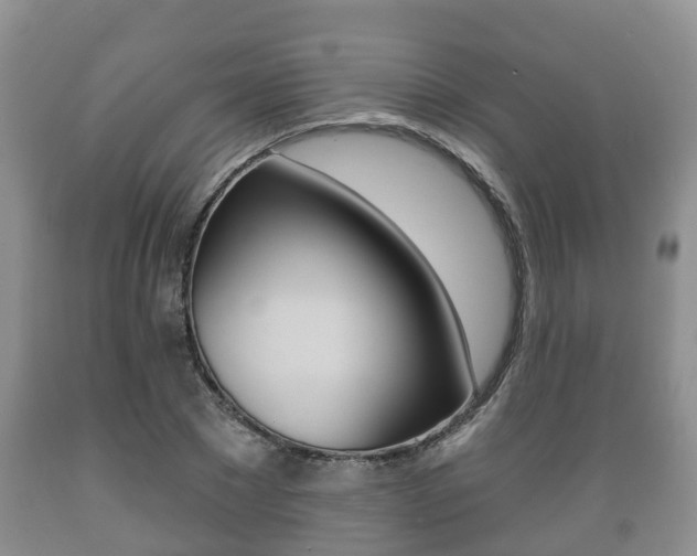 X0000089760881200706210952