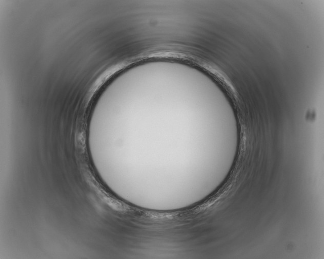 X0000089760882200706210952