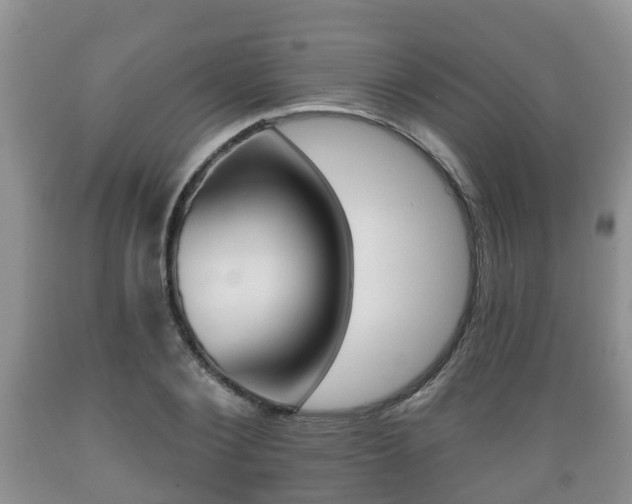 X0000089760884200706210952