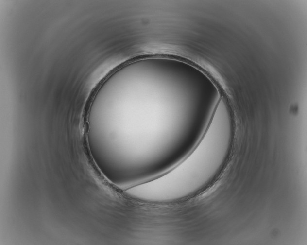 X0000089760885200706210952