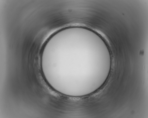 X0000089760886200706210952