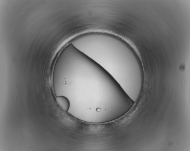 X0000089760887200706210952