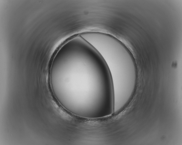 X0000089760888200706210952