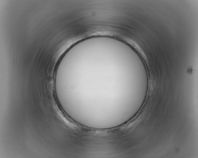 X0000089760890200706210952