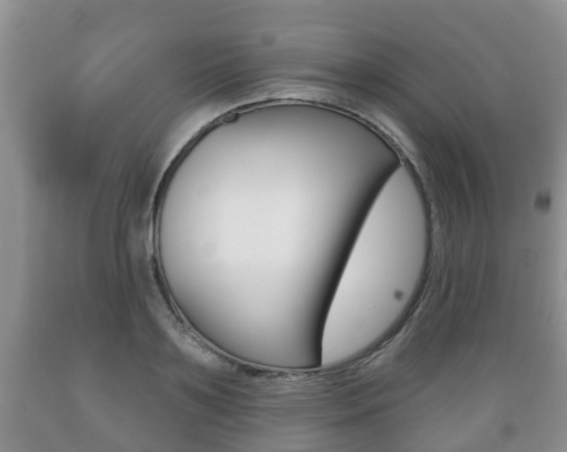 X0000089760891200706210952