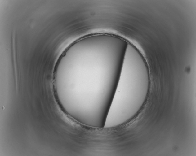 X0000089760895200706210952