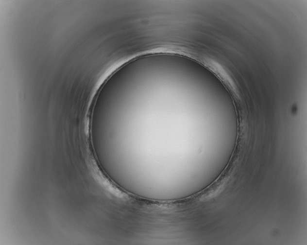X0000089760900200706210951