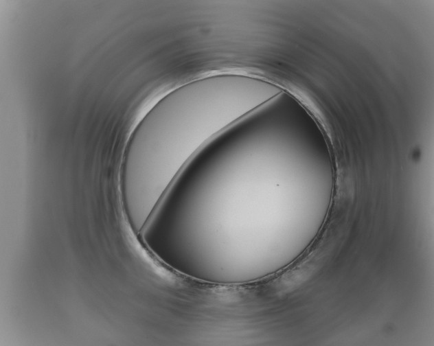 X0000089760906200706210951