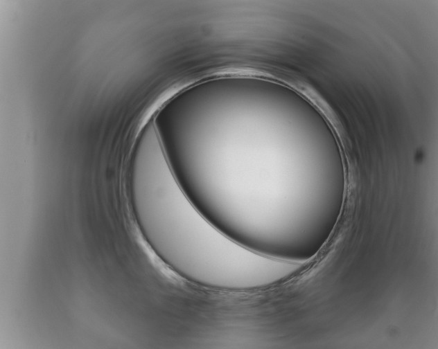 X0000089760909200706210951
