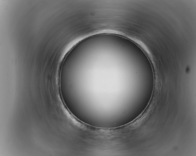 X0000089760910200706210951