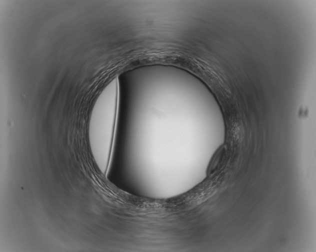X0000089760914200706210950