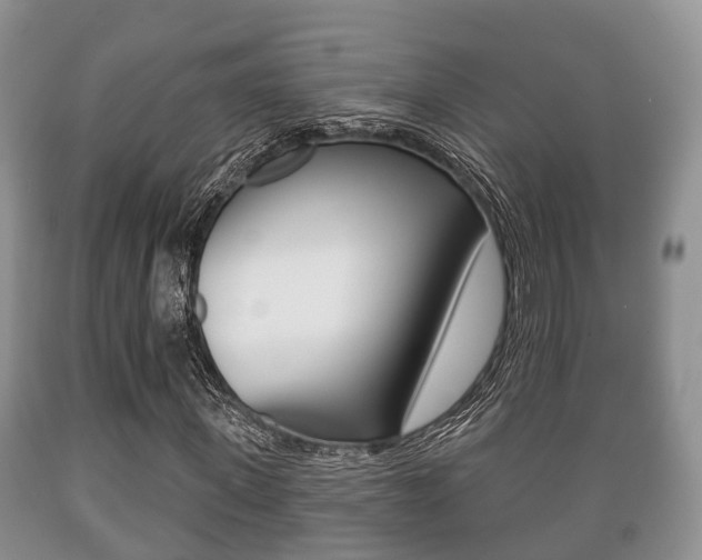 X0000089760915200706210950