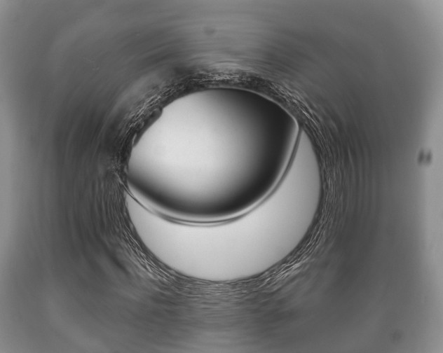 X0000089760916200706210950