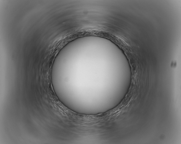 X0000089760917200706210950