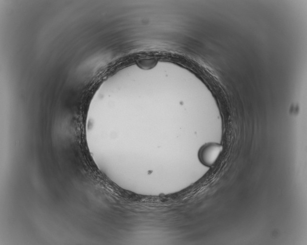 X0000089760918200706210950