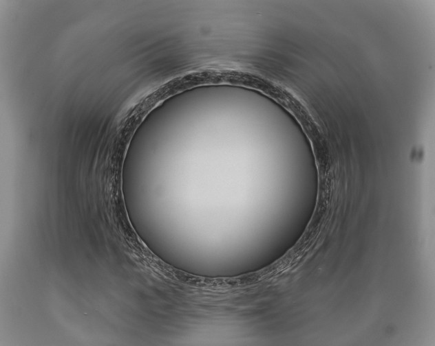X0000089760919200706210950