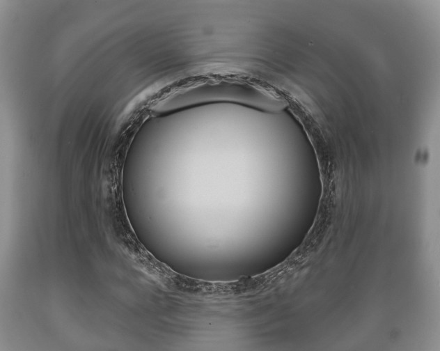 X0000089760920200706210950