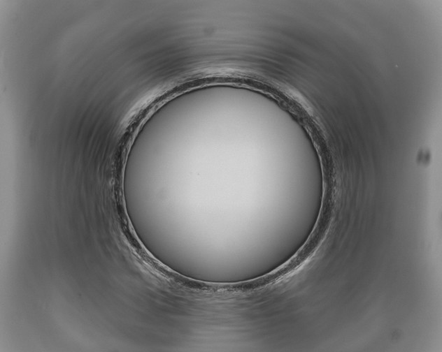 X0000089760922200706210950