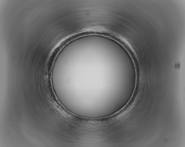 X0000089760923200706210950