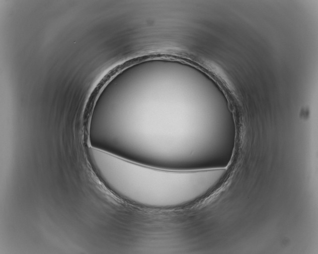 X0000089760924200706210950