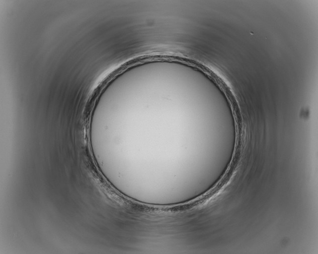 X0000089760925200706210950