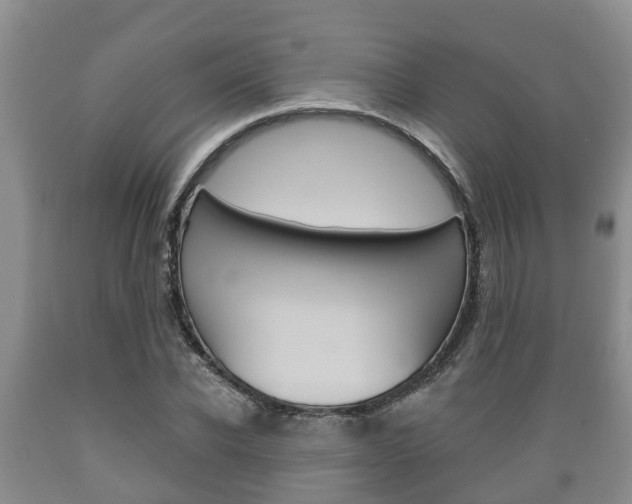 X0000089760926200706210950