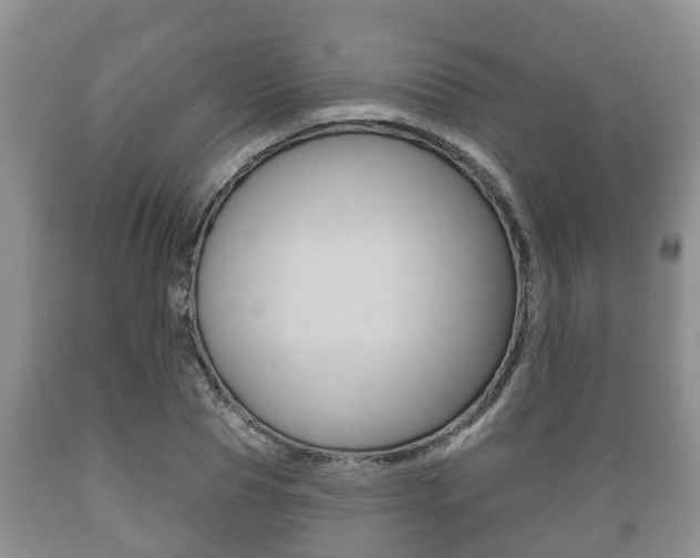 X0000089760929200706210951