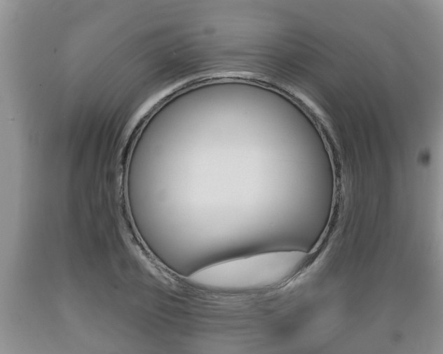 X0000089760933200706210951