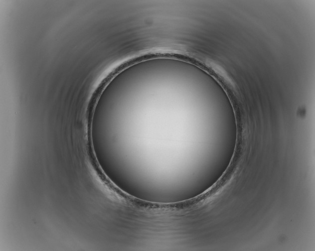 X0000089760934200706210951