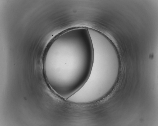 X0000089760936200706210951