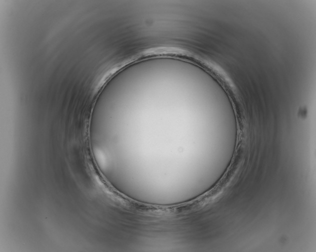 X0000089760937200706210951