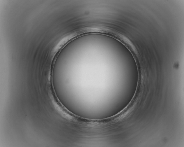 X0000089760938200706210951