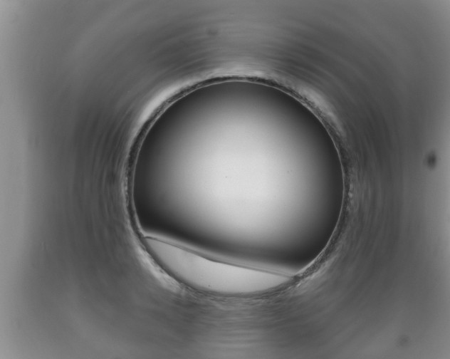 X0000089760942200706210951