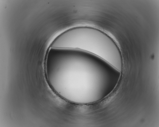 X0000089760943200706210951