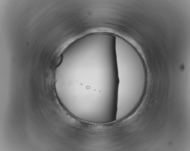 X0000089760945200706210951