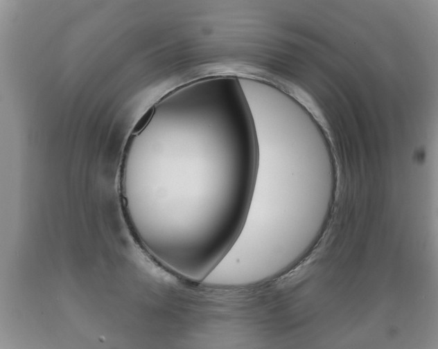 X0000089760946200706210951