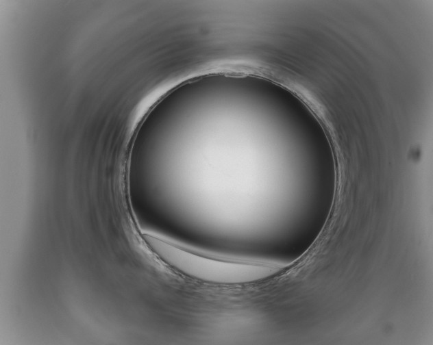 X0000089760960200706210951