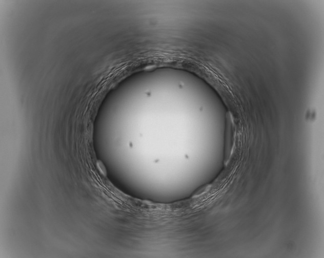X0000089760961200706210950
