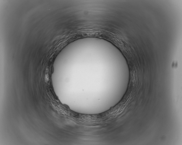X0000089760962200706210950