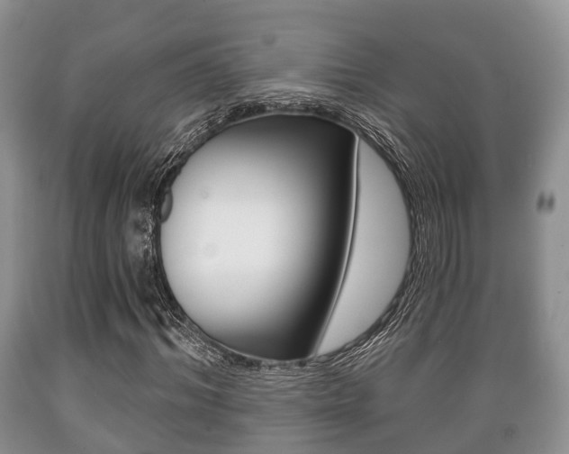 X0000089760964200706210950