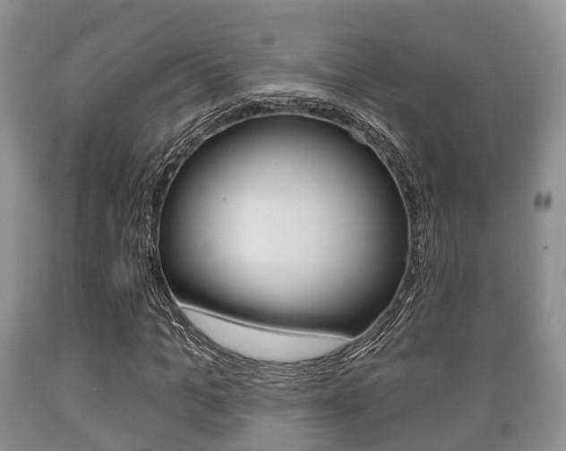 X0000089760965200706210950