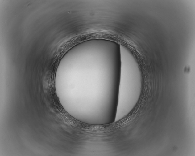 X0000089760966200706210950
