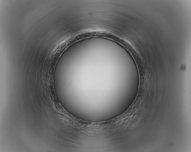 X0000089760967200706210950