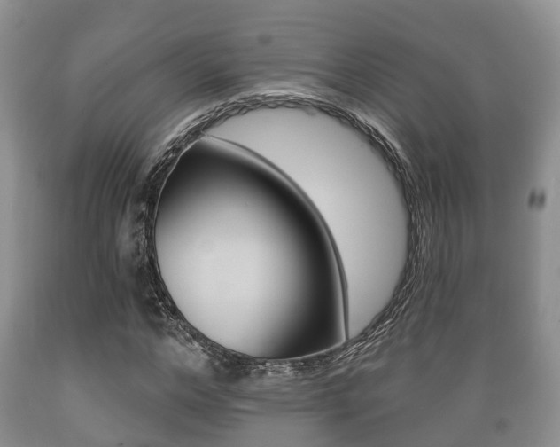 X0000089760968200706210950