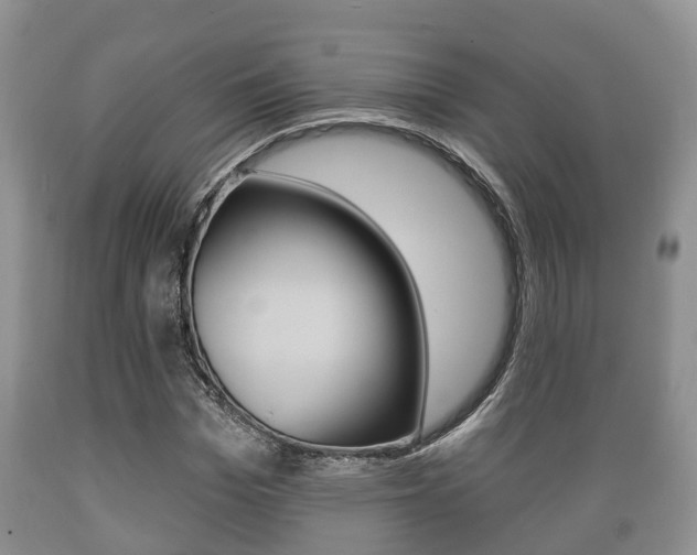 X0000089760969200706210950