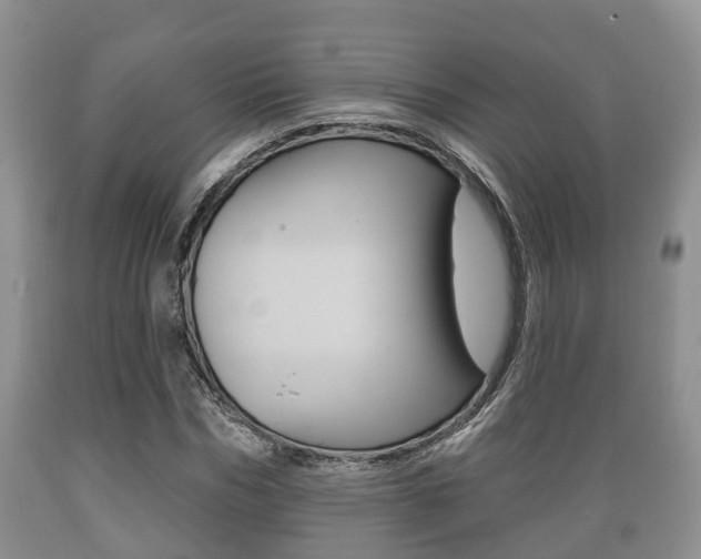 X0000089760970200706210950